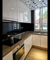 DLV (D10), Apartment #488742531